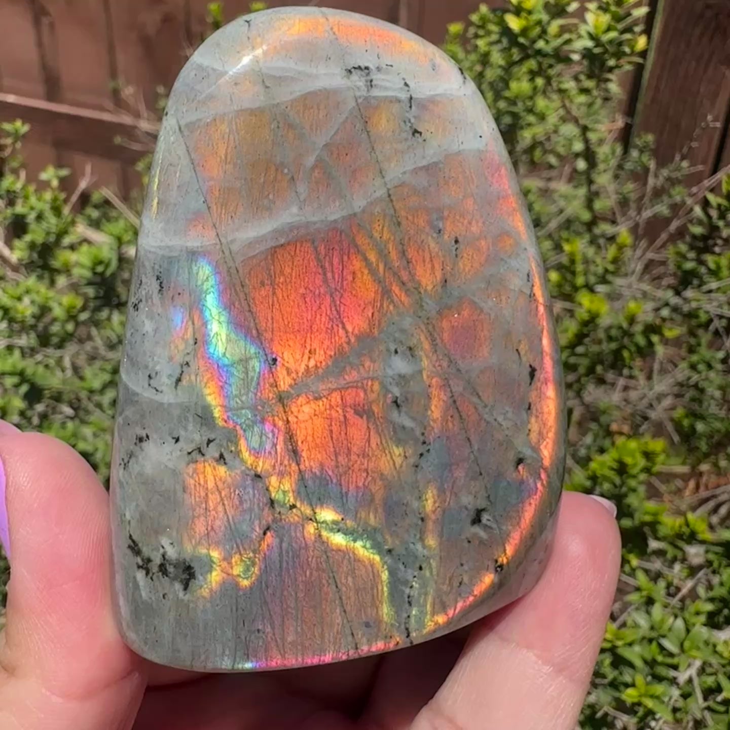Labradorite Freeform