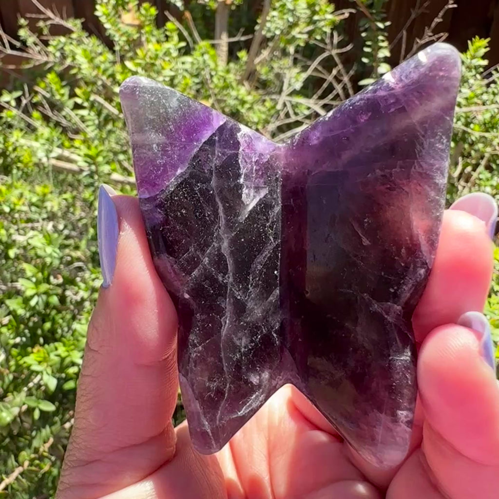 Fluorite Butterfly