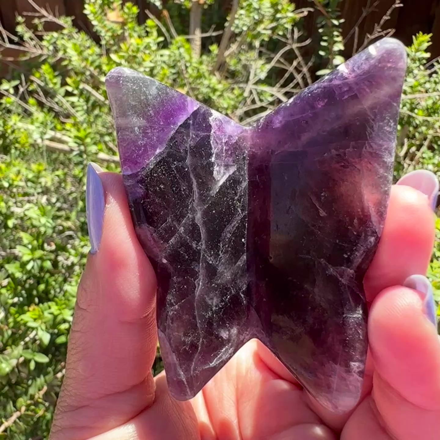 Fluorite Butterfly