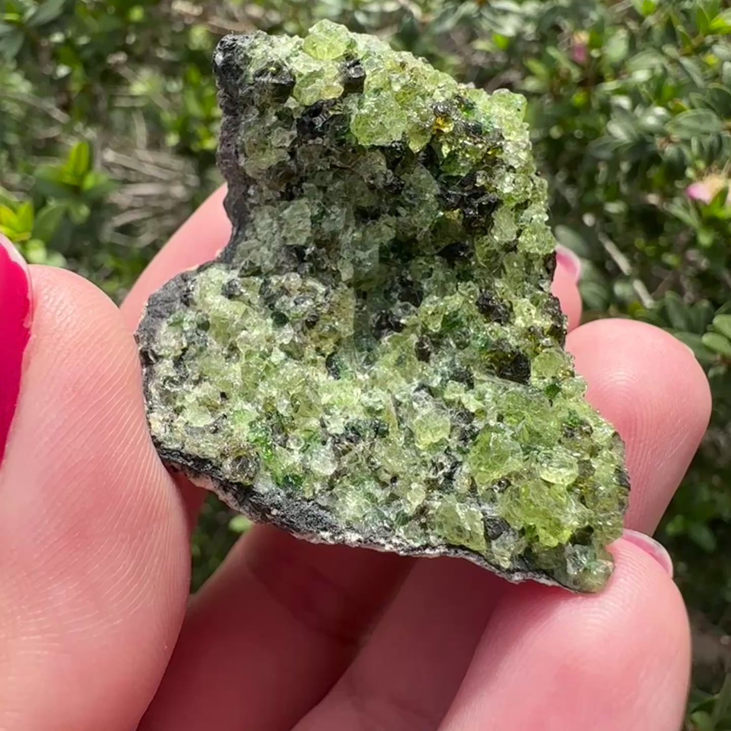 Peridot Specimen