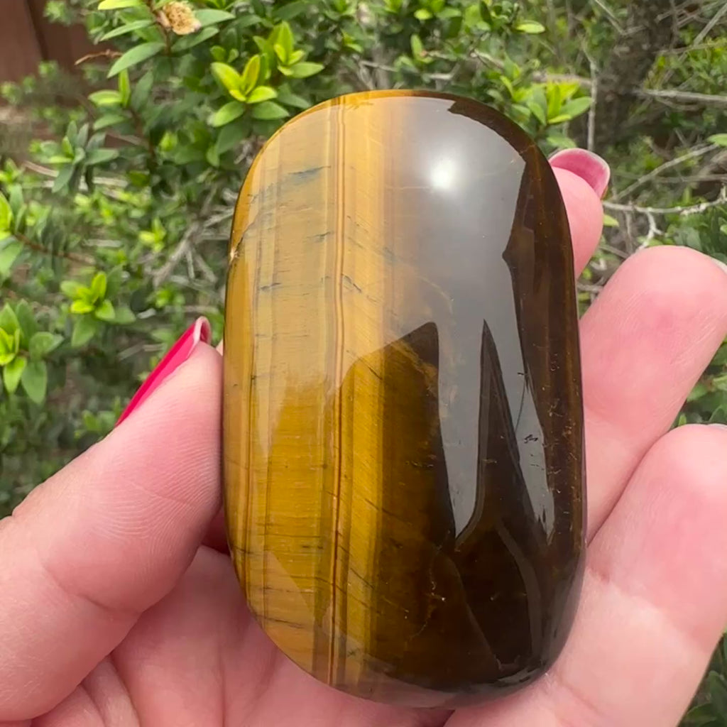 Tiger's Eye Palm Stone