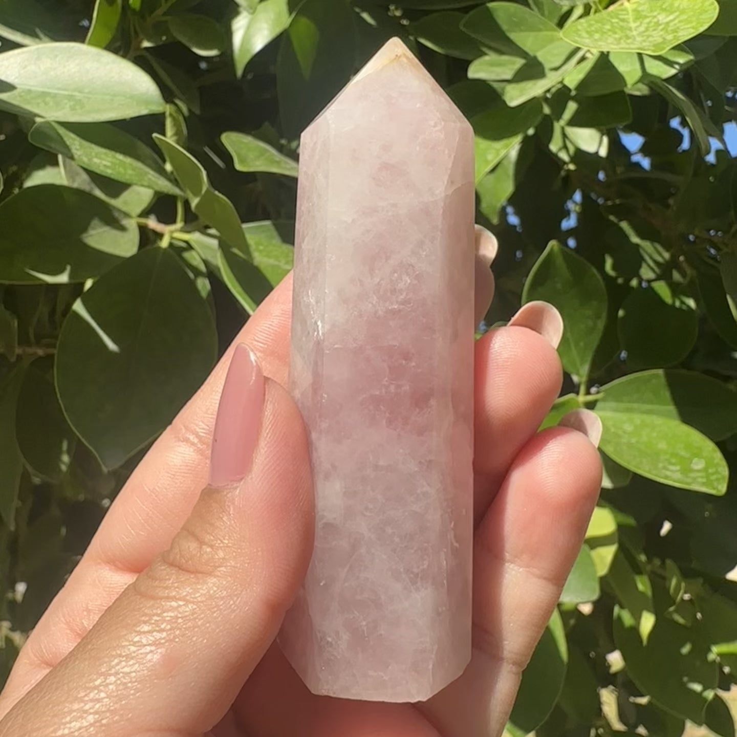 Rose Quartz Tower