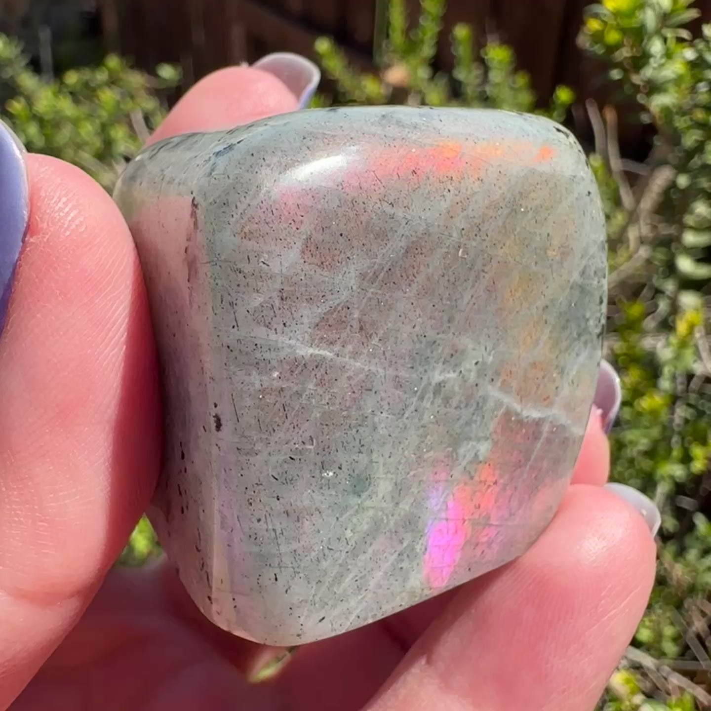 Labradorite Freeform