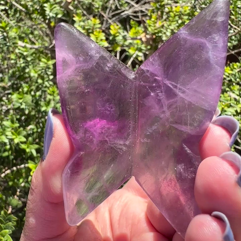Fluorite Butterfly