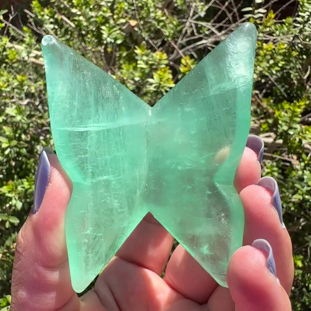 Fluorite Butterfly