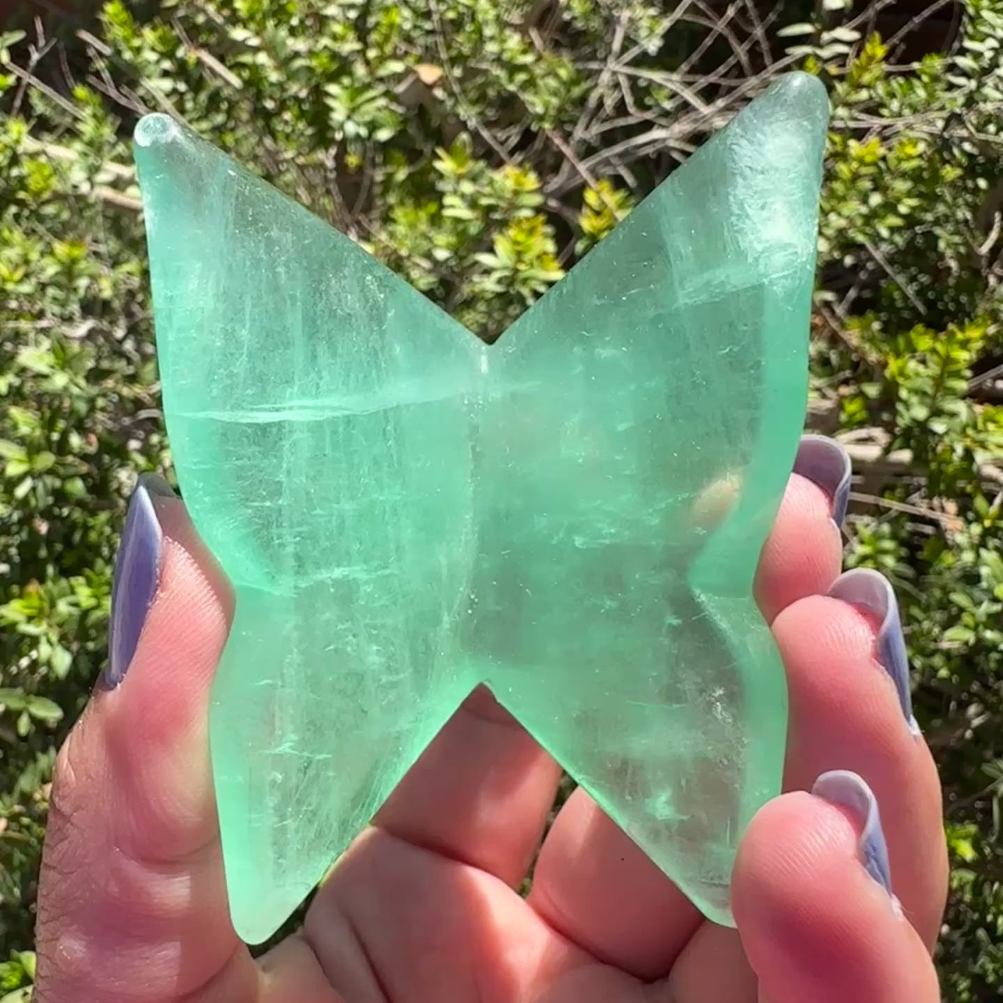 Fluorite Butterfly