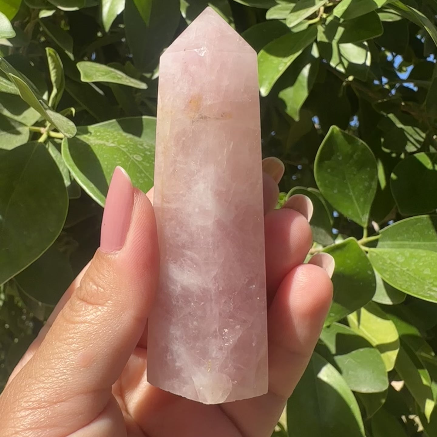 Rose Quartz Tower