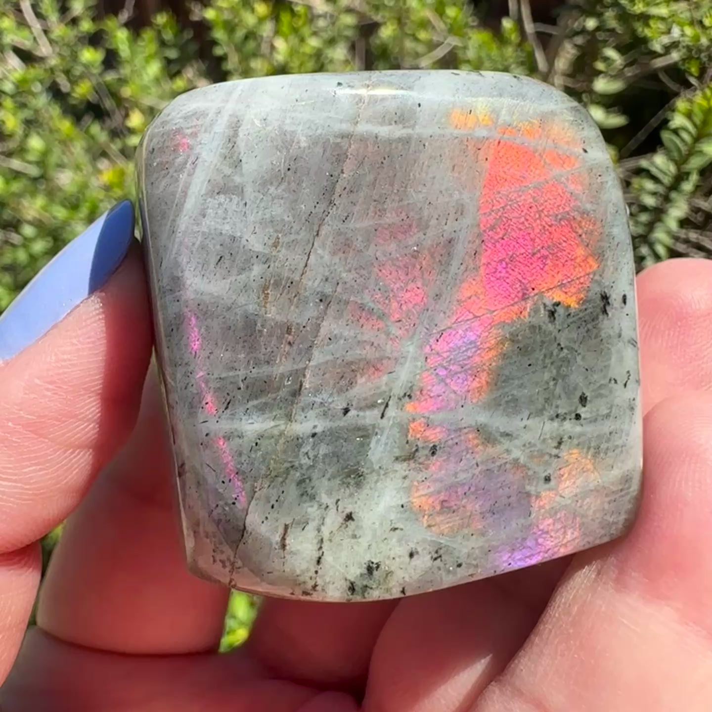 Labradorite Freeform