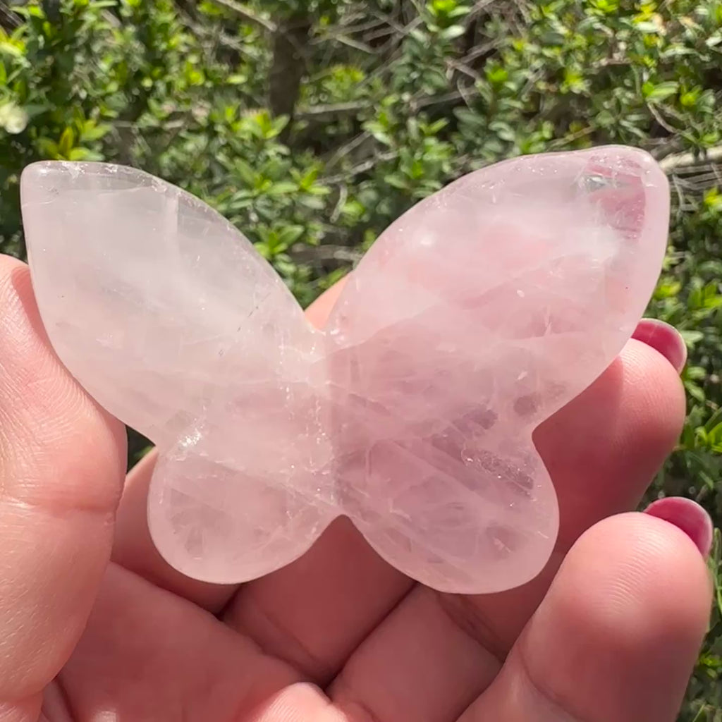 Rose Quartz 3D Butterfly