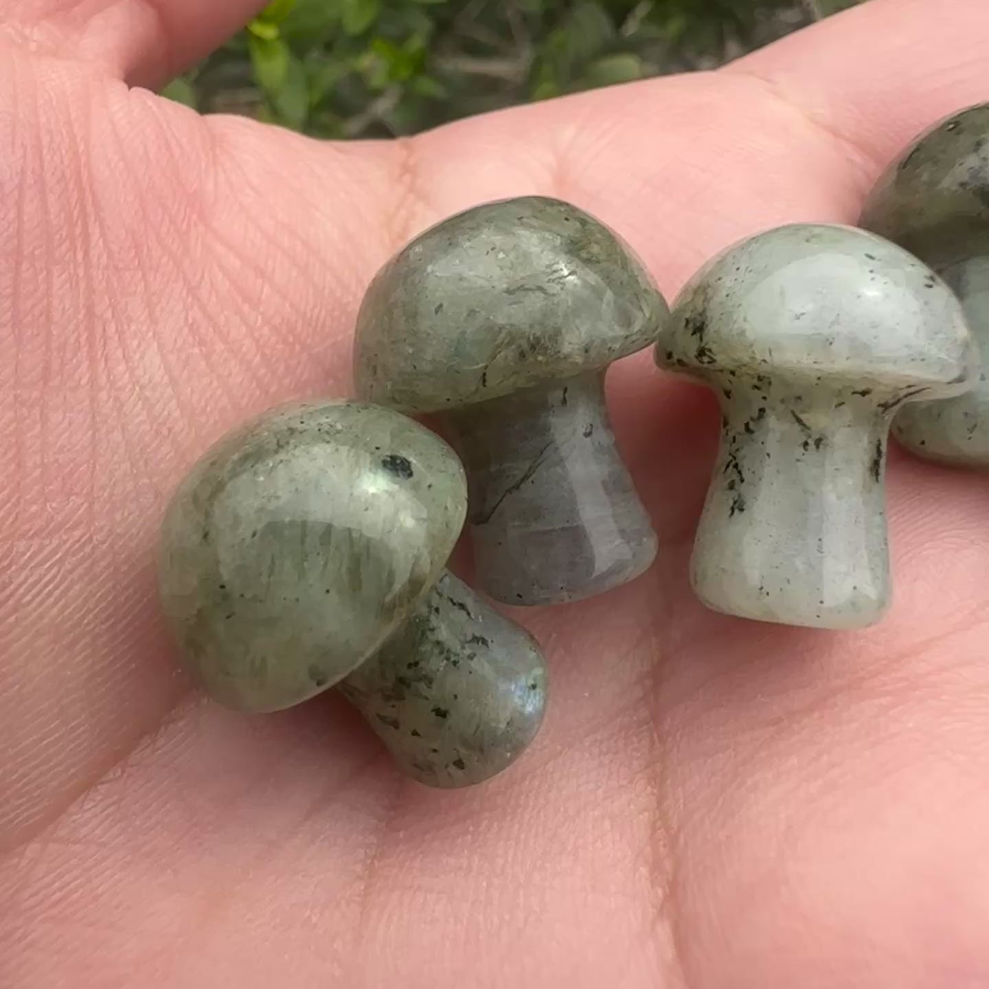 Labradorite Mushroom