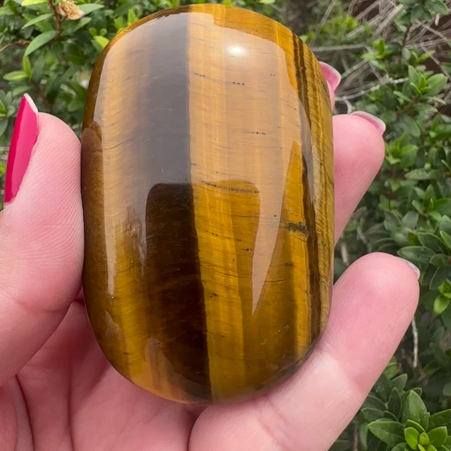 Tiger's Eye Palm Stone