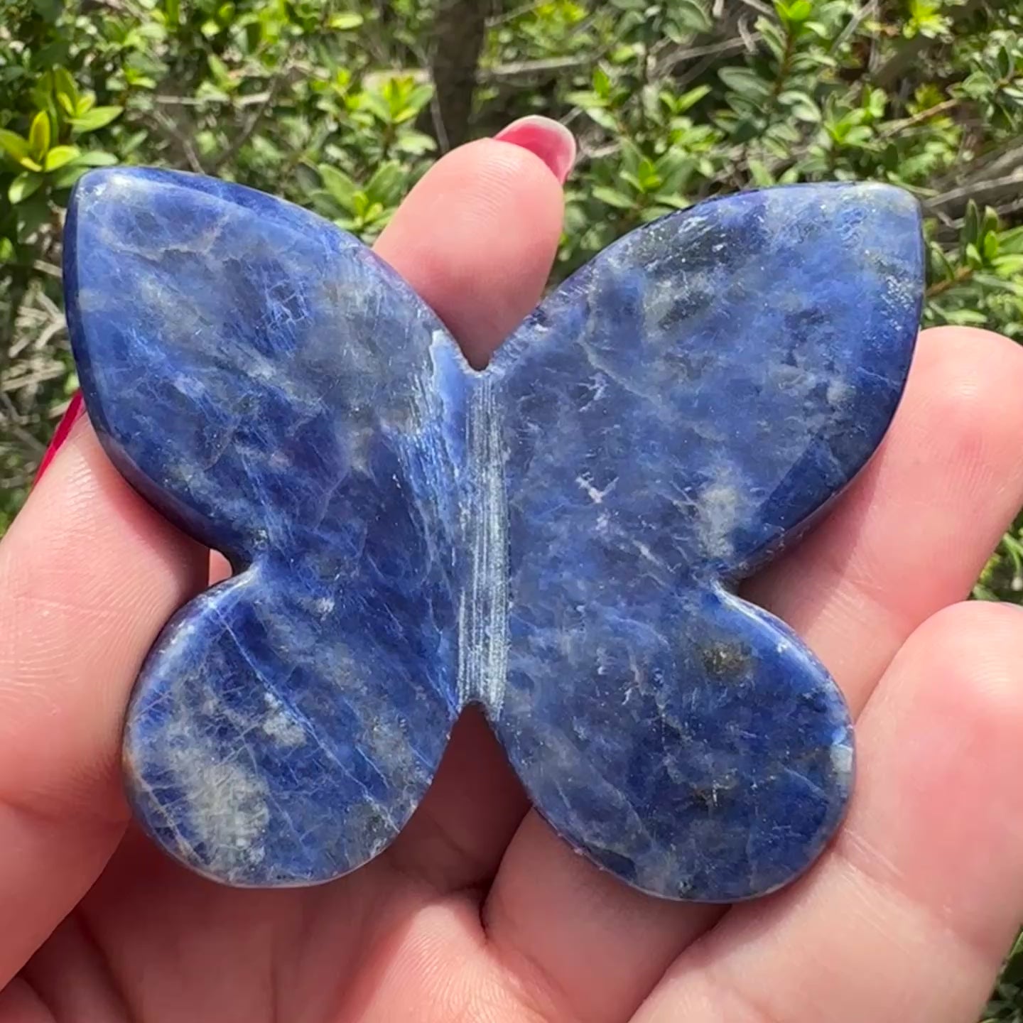 Sodalite 3D Butterfly