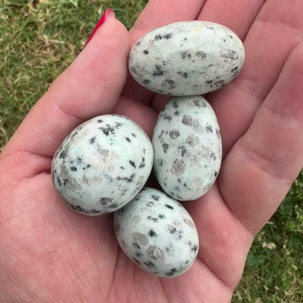 Kiwi Jasper Tumbles