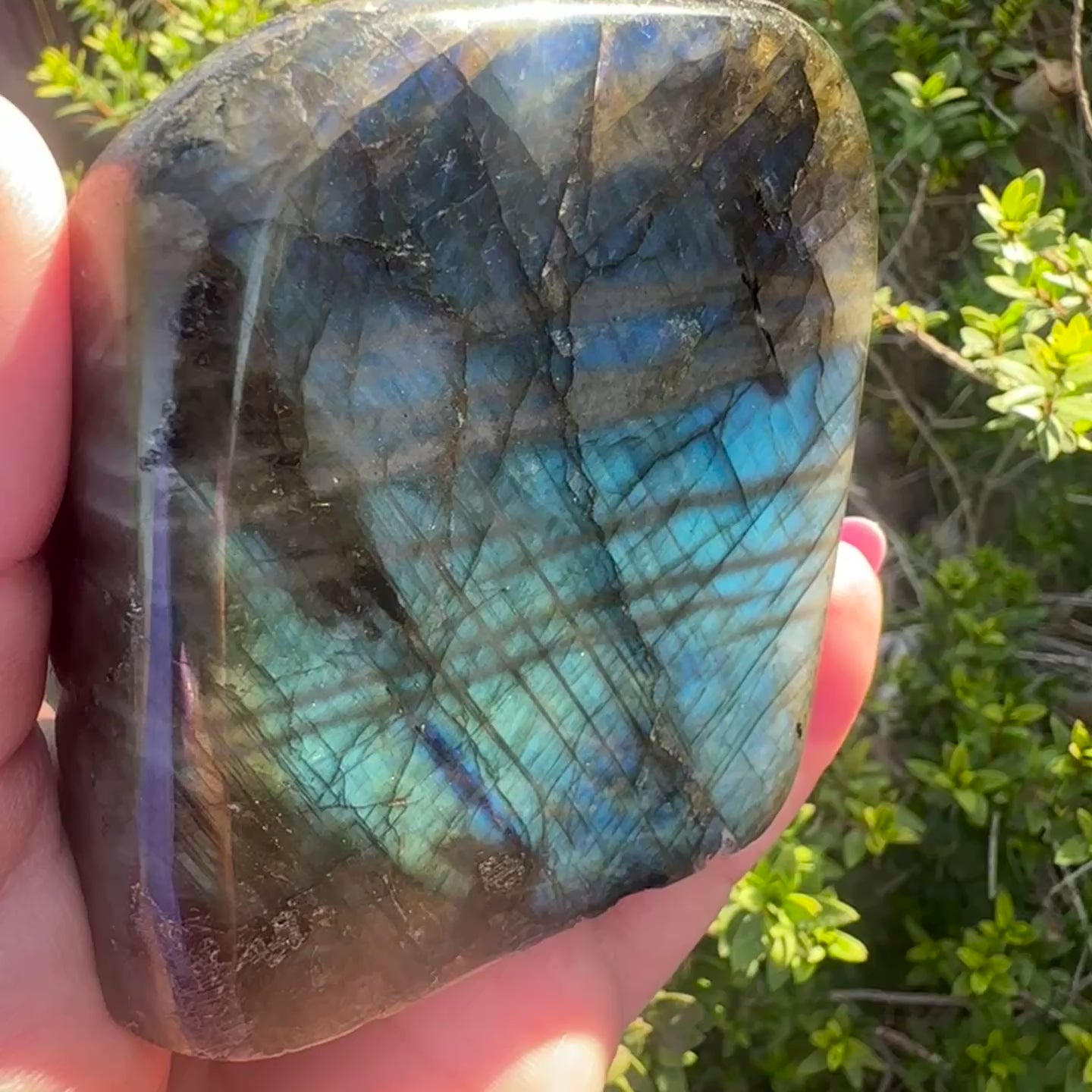 Labradorite Freeform